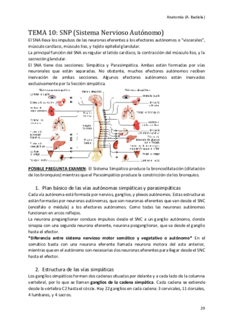 Sistema-Nervioso-Periferico.pdf