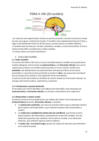 El-encefalo.pdf