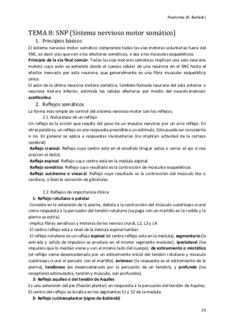 Sistema-nervioso-motor-somatico.pdf