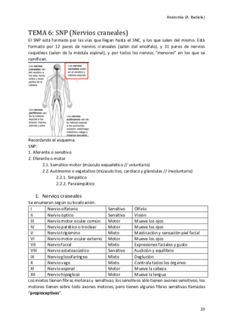 Nervios-craneales.pdf