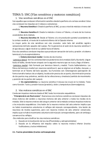 Vias-sensitivas-y-motoras-somaticas.pdf