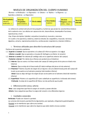 Organizacion-del-cuerpo-humano.pdf