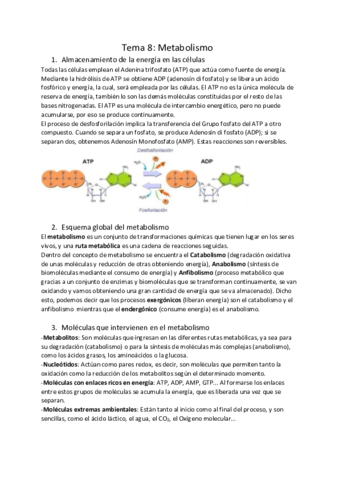 Metabolismo.pdf