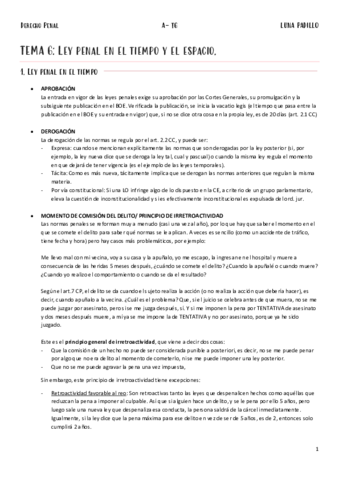 A-Penal-T6.pdf