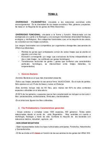 Micro-T2-Completo.pdf