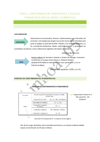 TEMA-1-APUNTE.pdf