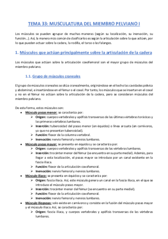 TEMA-33-Anatomia.pdf