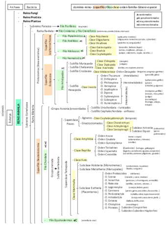 esquematotal.pdf