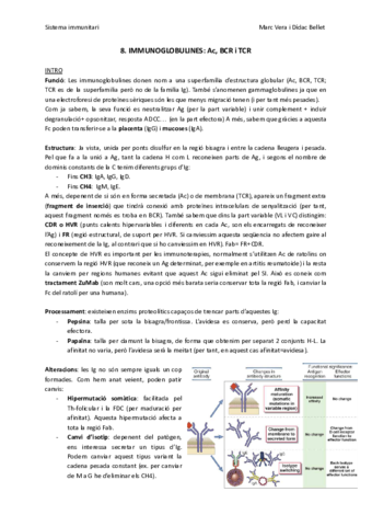 SIT8-Immunoglobulines.pdf