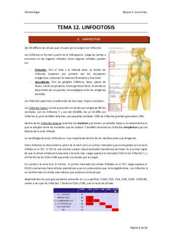TEMA-12-hemato.pdf