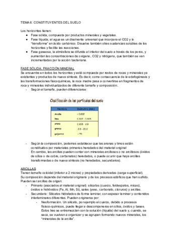 Tema-6-fracción-mineral.pdf