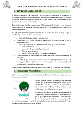 T3-TRANSPORTE-DE-AGUA-EN-LAS-PLANTAS.pdf