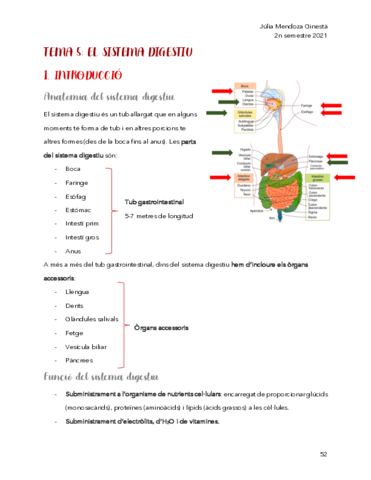 Sistema-digestiu.pdf