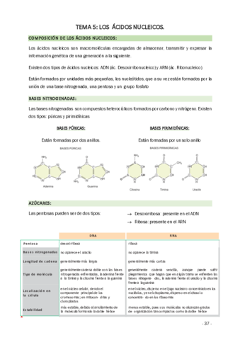 APUNTES-BIOLOGIA-PAU-ACIDOS-NUCLEICOS.pdf