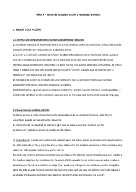 tema 4 penal.pdf