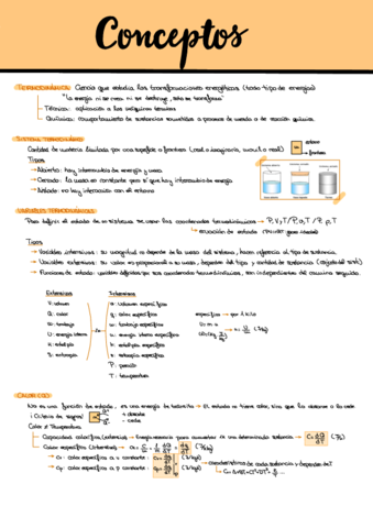 RESUMEN-TEMA-1.pdf