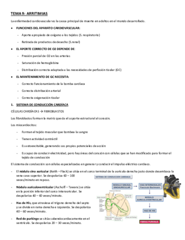 TEMA-9.pdf