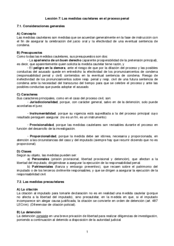 tema-7-PROCESAL.pdf