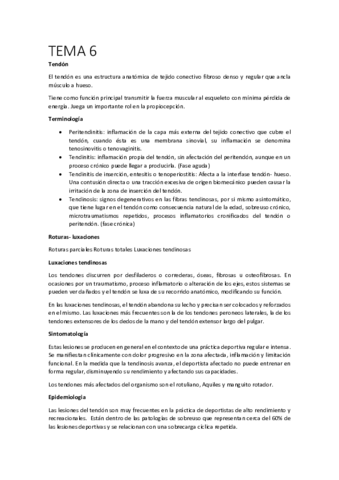 TEMA-6.pdf