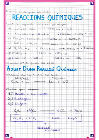 Reaccions-Quimiques.pdf