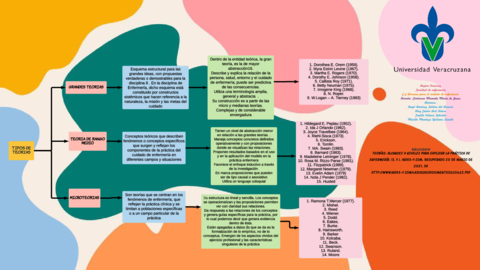 macro-y-micro-teorias-enfermeria.pdf