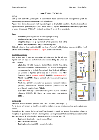 SIT11-Moleculesdadhesio.pdf