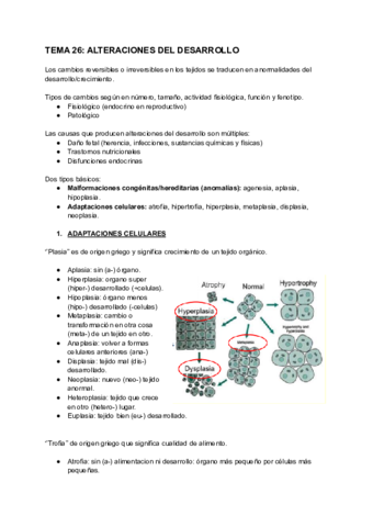 APG-BERNARDINO-ENTERO.pdf
