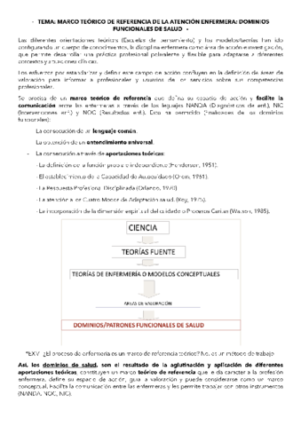 TEMA-DOMINIOS-FUNCIONALES-DE-SALUD.pdf