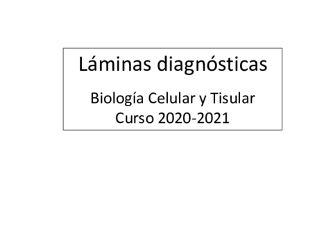 Laminas-diagnosticas-curso-20-21.pdf