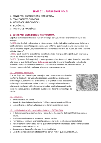 APUNTES-T.pdf