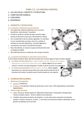 TEMA-7.pdf