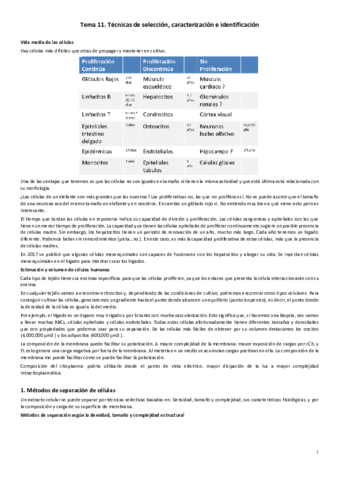 Tecnicas-de-seleccion-caracterizacion-e-identificacion.pdf