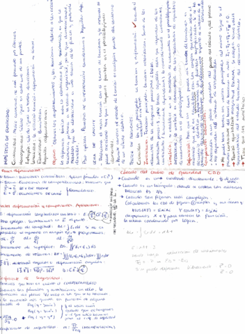 RESISTENCIAELASTICIDADTEORIA000039.pdf