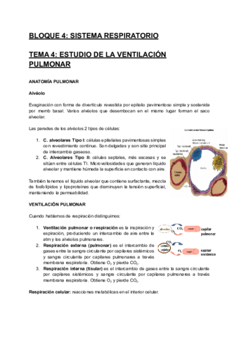 ALTERACIONES-DEL-ORGANISMO-HUMANO-Tema-4.pdf