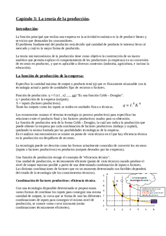 Resumen-tema-3-microeconomia.pdf