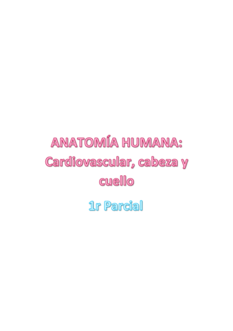 Anato-Cardiovascular-1r-Parcial.pdf