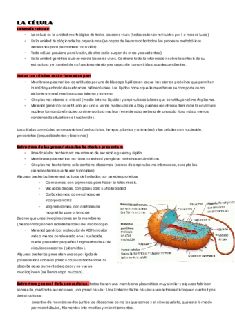 LA-CELULA.pdf