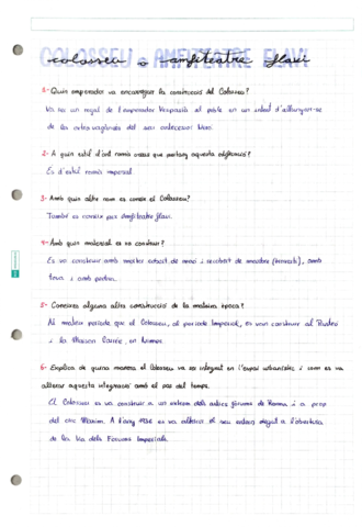 Treball-Amfiteatre-Flavi.pdf
