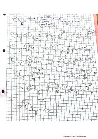 ejercicios-tipo-examen-resueltos-QO1.pdf
