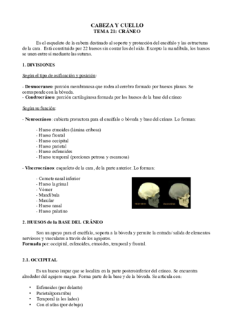 Cabeza-y-cuello.pdf