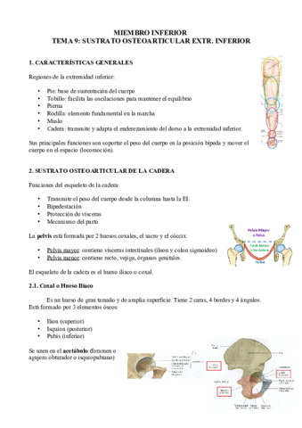 Extremidad-inferior.pdf