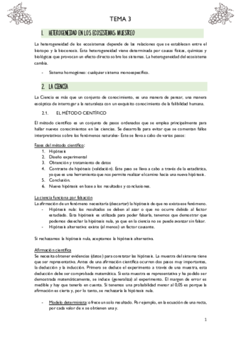 T3-ECO.pdf