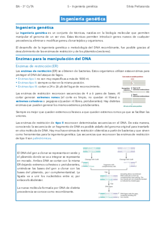 5-Ingenieria-genetica.pdf