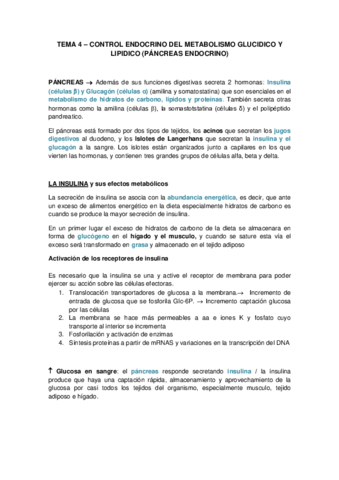TEMA-4-CONTROL-ENDOCRINO-DEL-METABOLISMO-GLUCIDICO-Y-LIPIDICO-PANCREAS-ENDOCRINO.pdf