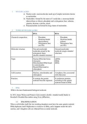 Biology-notes-DNARNA-and-cells.pdf