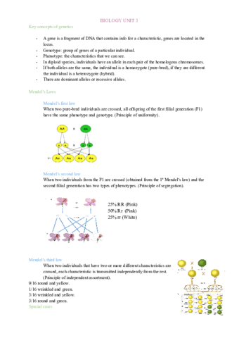 Biology-notes-Mendelian-Genetics.pdf