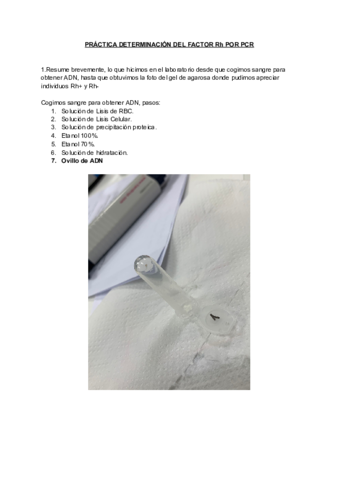 PRACTICA-DETERMINACION-DEL-FACTOR-Rh-por-PCR.pdf