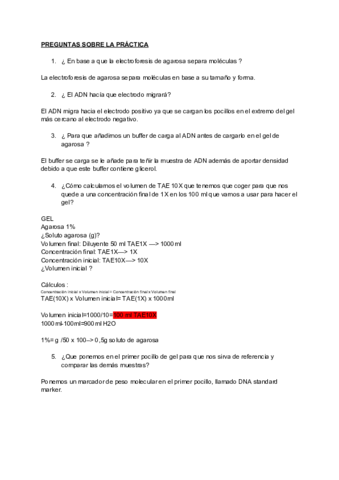 PREGUNTAS-SOBRE-LA-PRACTICA-DE-ELECTROFORESIS.pdf