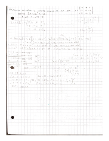 Algebra-Lineal-Ejercicios-Apuntes.pdf