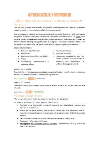 AYMT5Procesos-de-Olvido-y-Memoria.pdf